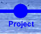 About the Project